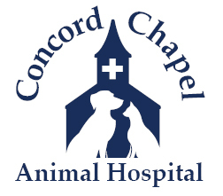 AnimalHospital's profile picture. Caring For Pets And Their People
Concord Chapel Animal Hospital 614-871-1111