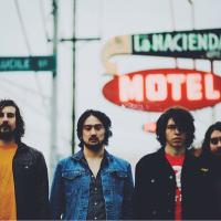 Fox and The Law (@foxandthelaw) 's Twitter Profile