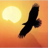 СВОБОДА (@svoboda_naroda) 's Twitter Profile Photo СВОБОДА (@svoboda_naroda) 's Twitter Profile Photo