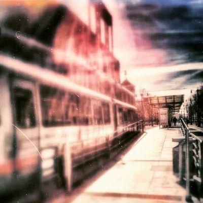 Kmission510's profile picture. Steel and Camouflage, D.U.B. The Optimystics,  We Are Relentless, Woodhenge