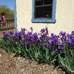 enoell21's profile picture. 