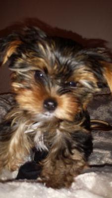 ChristineBeck1's profile picture. 