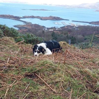 richchrystal's profile picture. 