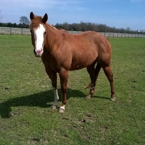 X_Michaella's profile picture. Rest easy baby boy  February 9, 1993- December 19, 2014.