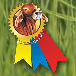 Periódico de circulación mensual, distribución gratuita a nivel nacional. La mejor información ganadera, productos veterinarios y del campo.