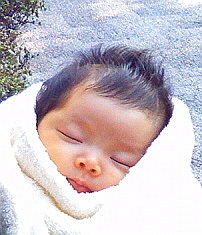 mimico3's profile picture. こどもを戦争に取られないように、そのことだけを願っています。考えすぎでも怖がりすぎでもないと思っている。