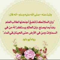 ربي لك الحمد(@shaadwa1970) 's Twitter Profileg