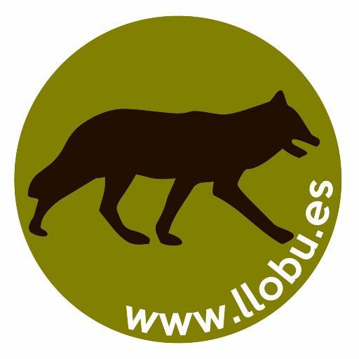 Ponemos en valor la figura del lobo vivo y de los recursos naturales de la provincia de Zamora. Avistamiento de lobo ibérico y mucho más.