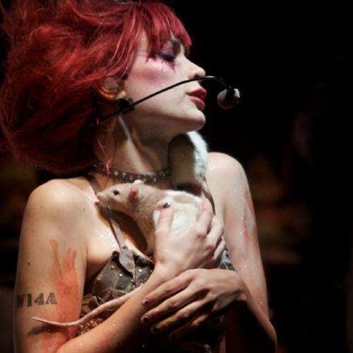 Emilie Autumn Emilieautumn Twitter