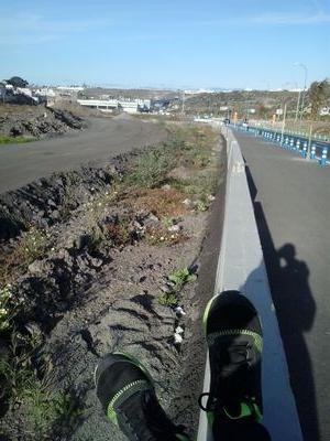 javierdpm8's profile picture. 