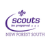 New Forest South (@nfsscouts) Twitter profile photo
