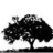 CaucasusForum's profile image