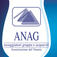 anag veneto (@anag_veneto) 's Twitter Profile