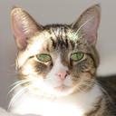 Amy Eshleman - @AmyEshleman - Twitter