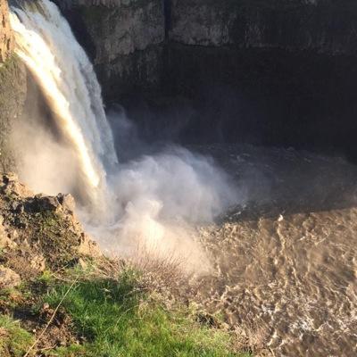 carlosruoz67's profile picture. 