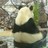 MOCHA_VA's profile image