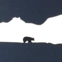 Grotte Chauvet 🇫🇷 (@grotte_chauvet) 's Twitter Profile
