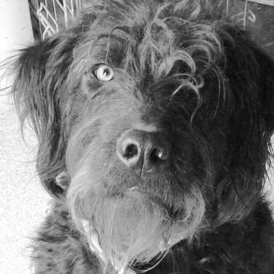 Connor007's profile picture. 