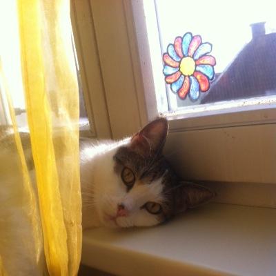 Xx007M's profile picture. verrückt.... wahnsinnig..... 
satans meisterwerk ✌️