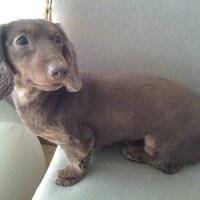 yuji yamazaki (@uzu0806) 's Twitter Profile