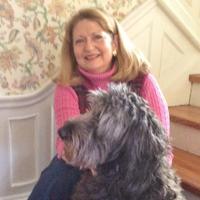 Cheril Thomas - Author (@cherilthomas) 's Twitter Profile