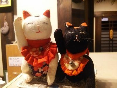 岐阜市大洞にある、自家製粉・十割蕎麦処『せいがん』です。お客様とのつながりの場にこちらに参加させて頂きます。蕎麦好きな方がいましたら、ぜひ一度お越しください。水曜日がお休みです。
11:00~14:30(売り切れ次第終了です。)