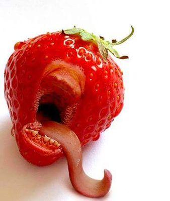 TorcellyBruno's profile picture. 