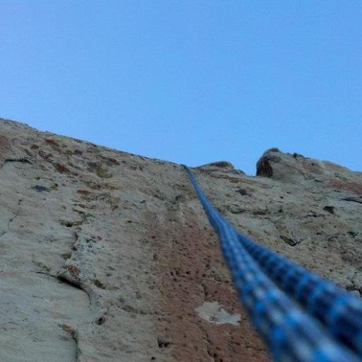 rking_101's profile picture. Amateur Handicapper,