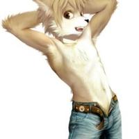 Furry fan (@rikkun_the_fox) 's Twitter Profile