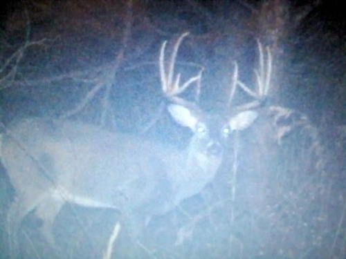 Avid sportsman and family man.