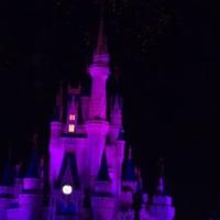 Tracey Reeves (@traceyreeves27) 's Twitter Profile Photo