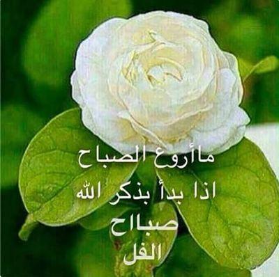 dmiatwood2012gm's profile picture. 