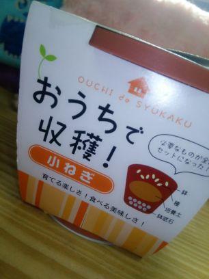 栽培記録つけてくよ！今は子ネギ育ててるよ