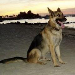 Grambuz's profile picture. 