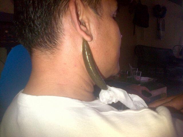 mukhtarlaksana1's profile picture. 