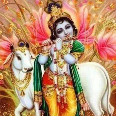 shivsha82788260's profile picture. 