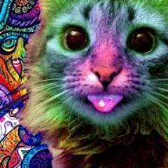 Psychedelia, cats, death metal, space, Ukraine, software engineering, science etc. 🇺🇦