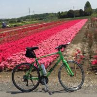 Akihiro (@2yoqkdppmxhtkh8) Twitter profile photo