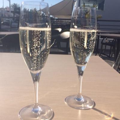 Timharvey32Lisa's profile picture. BRCA1, ER+ & TNBC survivor. 🤍