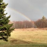 Mark Wood (@mwoodtantasqua) 's Twitter Profile Photo