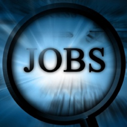 latest_jobalert's profile picture. 