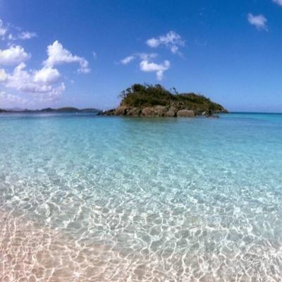 4Goldedome's profile picture. 