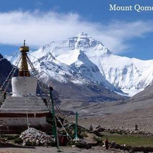 samsarazhufeng's profile picture. 