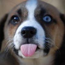 mjhoyt72's profile picture. 