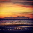 Evelyn Eden - @evelyn_eden - Twitter