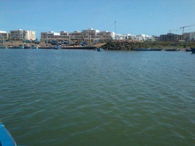 walidboualaoui1's profile picture. 0654132579