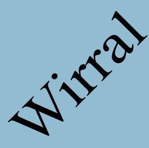 Supporting wirralBiz