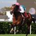Horse racing winners (@winners_racing) Twitter profile photo Horse racing winners (@winners_racing) Twitter profile photo