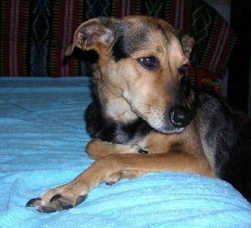 Coach_Hiptip's profile picture. A metros del Obelisco porteño, un espacio donde se fusionan la Gastronomía con el Arte, Política y el Chamullo de los misteriosos personajes de la City.