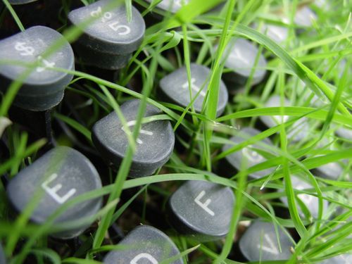 peter_ri's profile picture. 